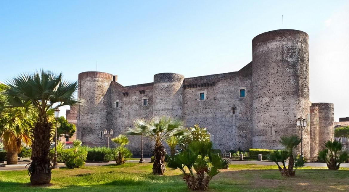 L'albero Della Catania